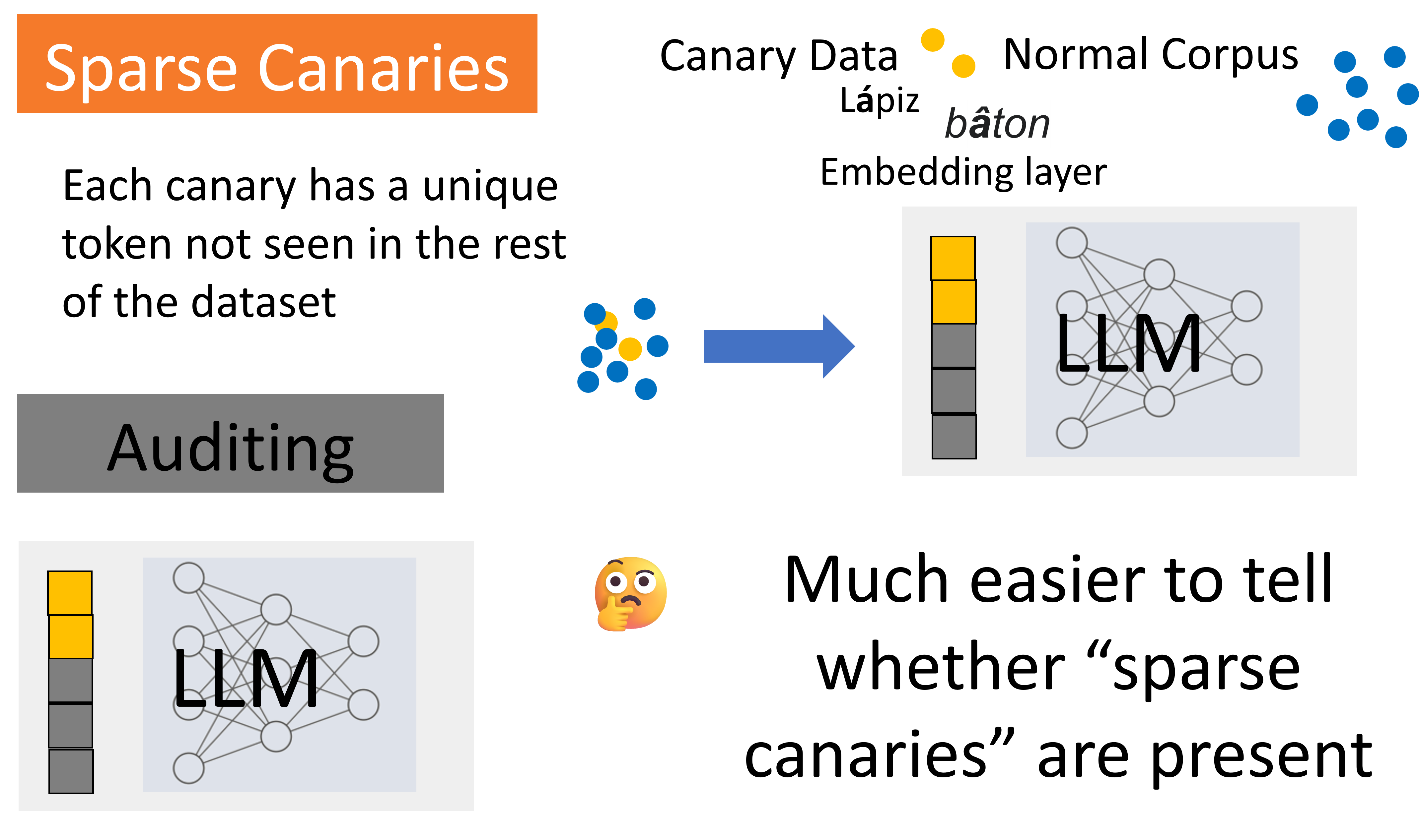 privacy auditing